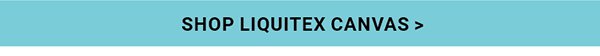 SHOP LIQUITEX CANVAS >