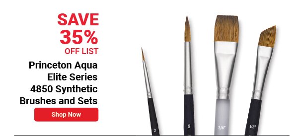 Princeton Aqua Elite Series 4850 Synthetic Brushes and Sets