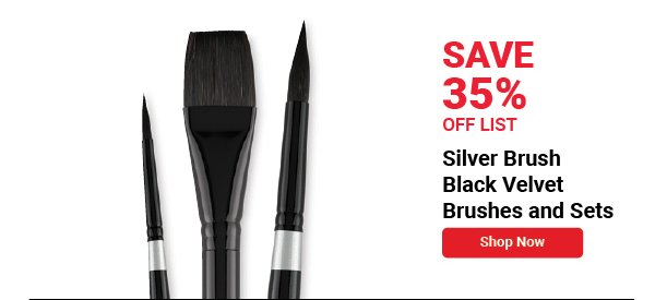 Silver Brush Black Velvet Brushes and Sets