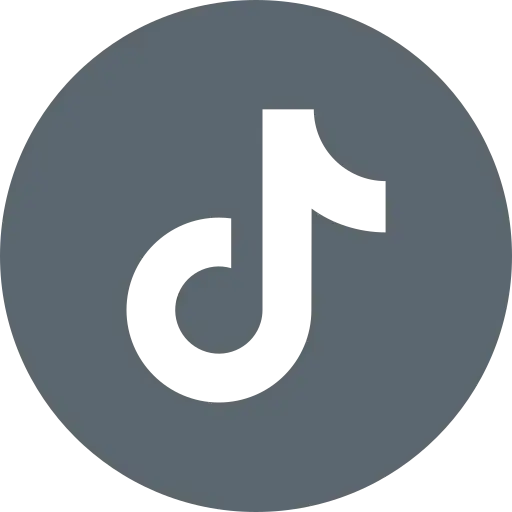 TikTok icon