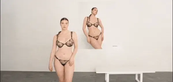 Lingerie As Art 