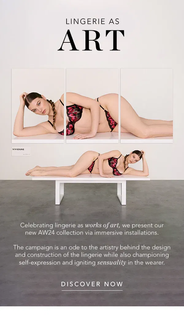 Lingerie As Art