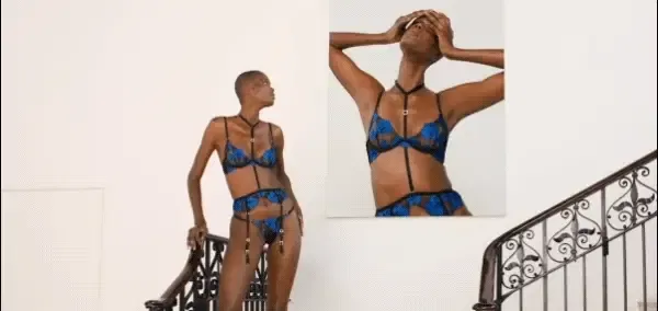 Lingerie As Art