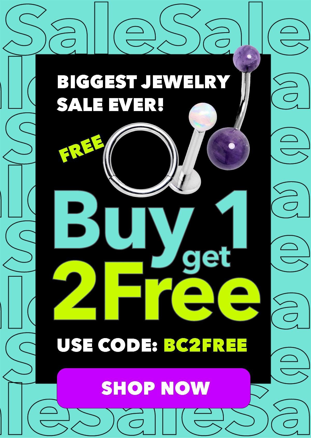 Buy 1 Get 2 FREE - use code: BC2FREE