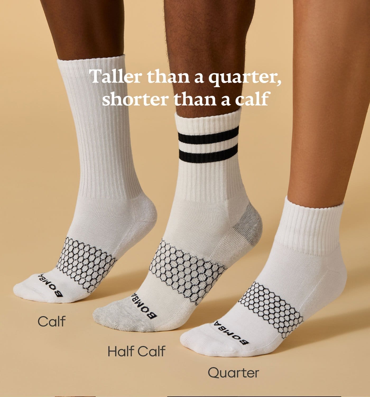 Taller than a quarter, shorter than a calf | Calf | Half Calf | Quarter