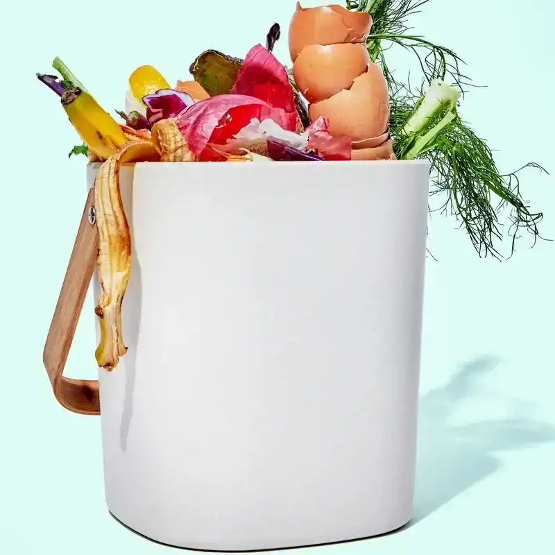 How to compost in the apartment? Start with a good bin.