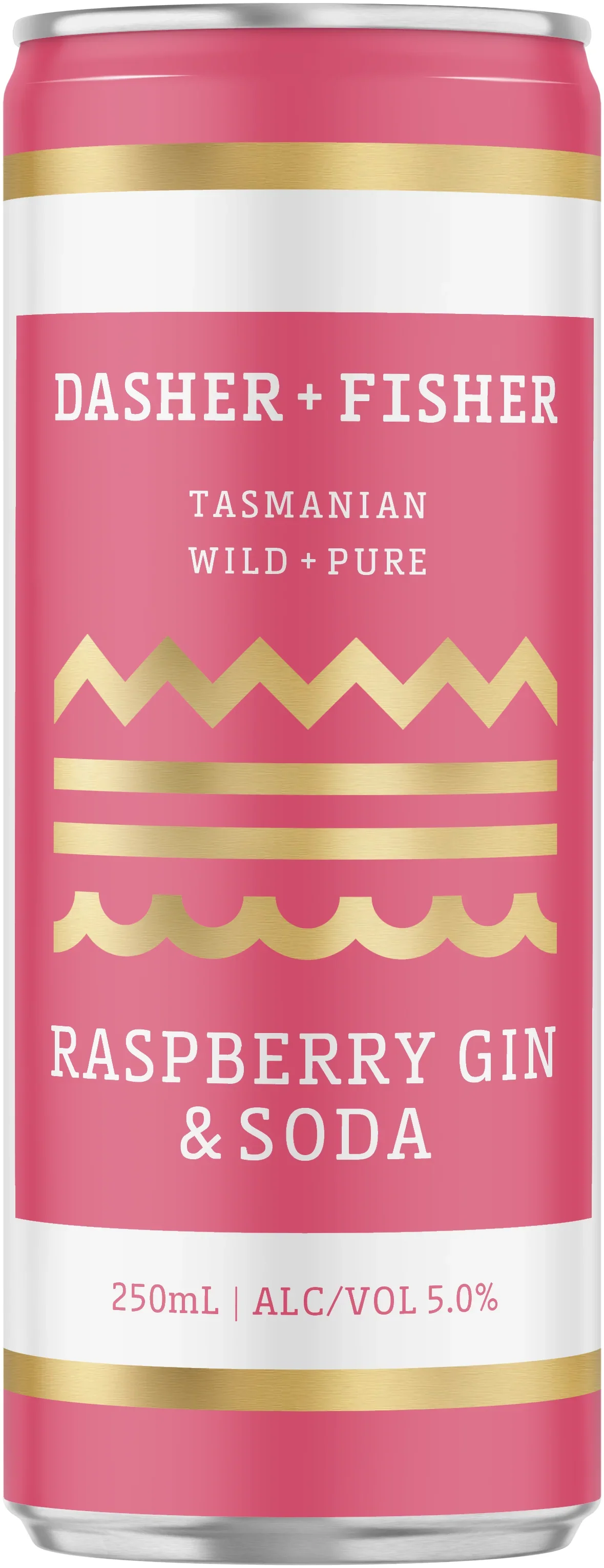 Image of Dasher + Fisher Raspberry Gin & Soda 250ml