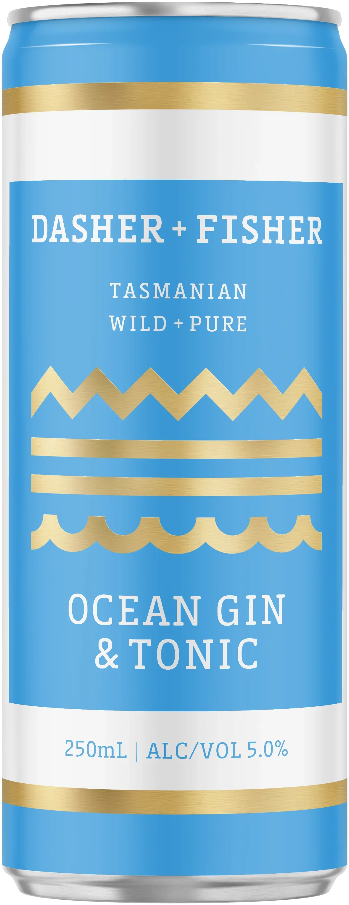 Image of Dasher + Fisher Ocean Gin & Tonic 250ml