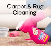 Carpet and Rug Cleaning