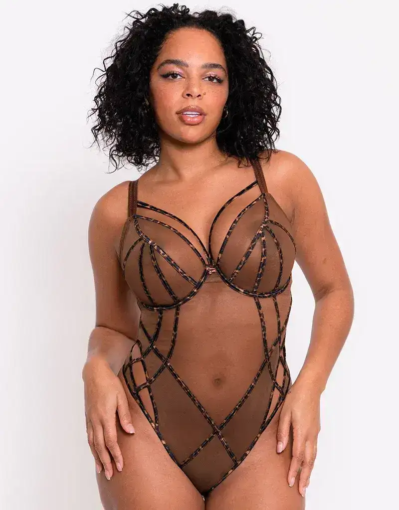 Scantilly Senses Plunge Bodysuit Leopard Brown