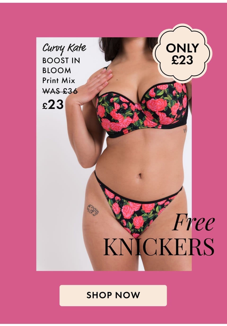 Free Knickers - Bank Holiday Outlet Weekend - up to 70% off | Must end Monday
