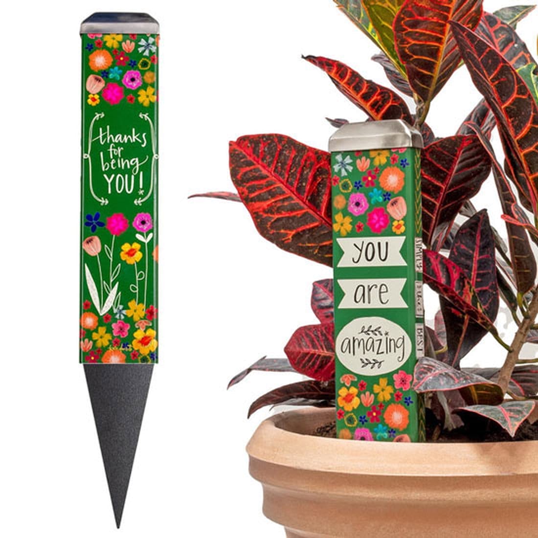 You Are Amazing Garden Art Stake