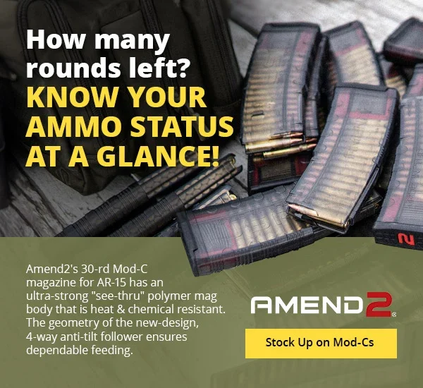 Amend2 AR Smoke mags