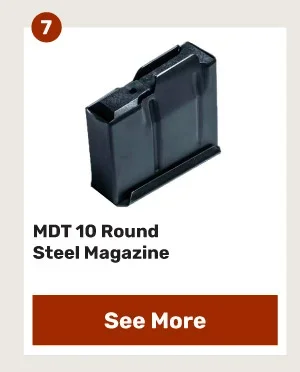 MDT 10rd Mag