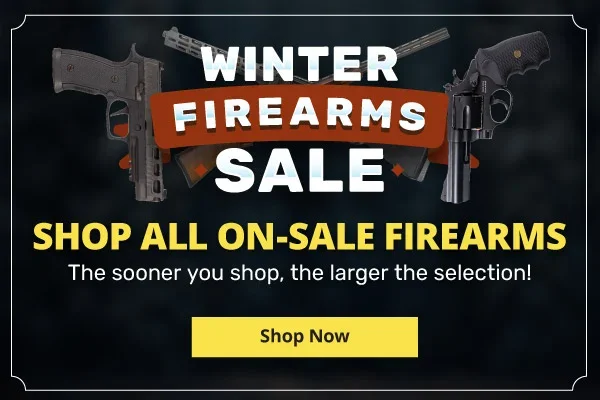 Winter Firearms Sale