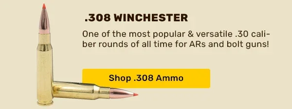 308 Winchester Ammo