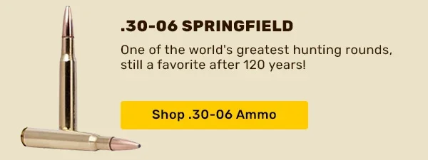 30-06 Springfield Ammo