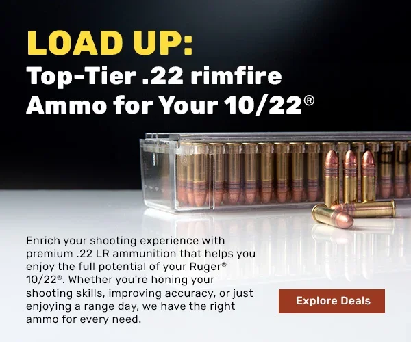 Rimfire 10/22 Ammo