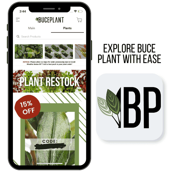 BUCE PLANT APP