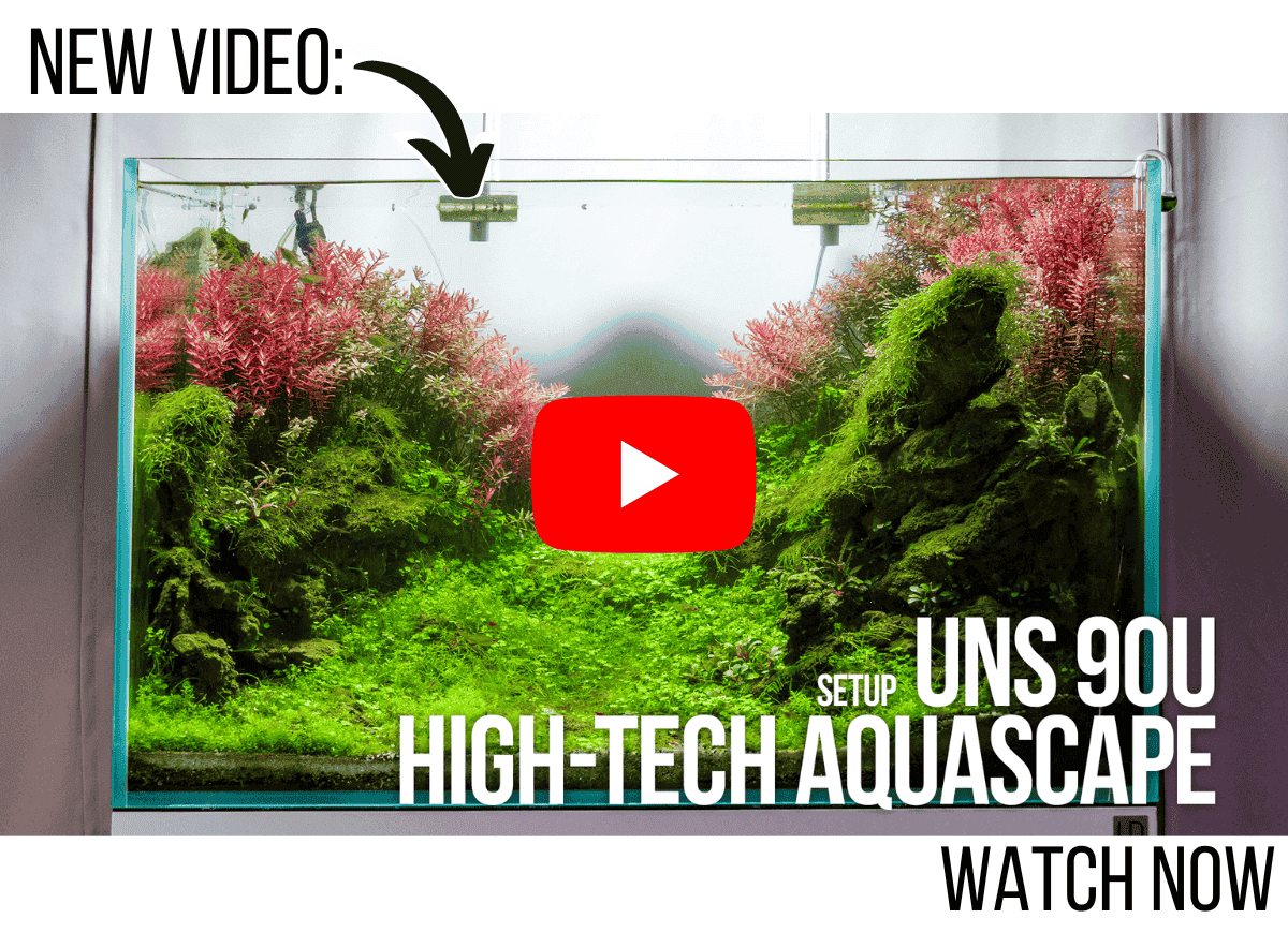 UNS 90U Aquascape Setup Tutorial with Aquarium Plants Emersed to Submerged