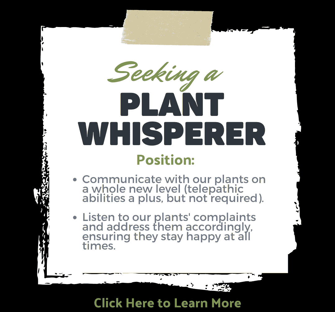 Plant Whisperer