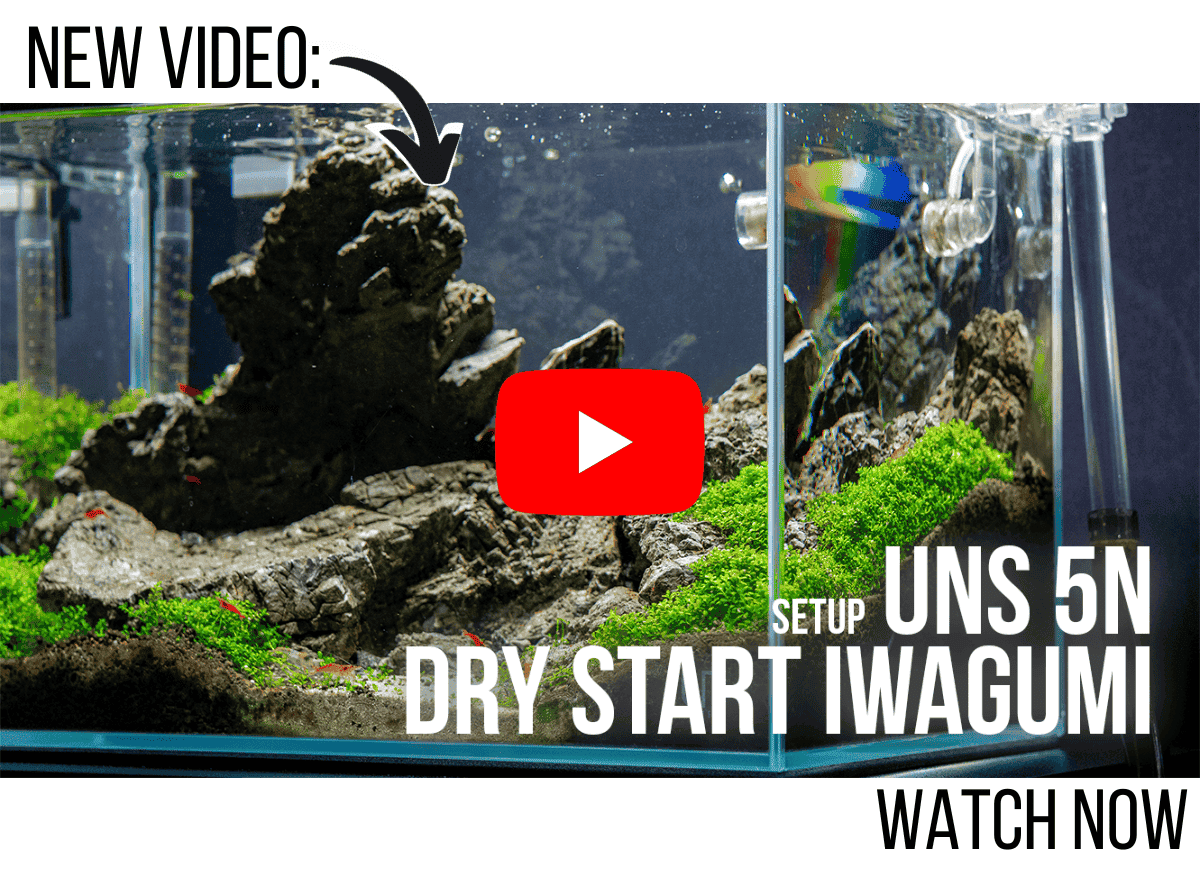 UNS 5N Iwagumi Nano Tank Aquascape Tutorial - Dry Start Method Aquarium Setup