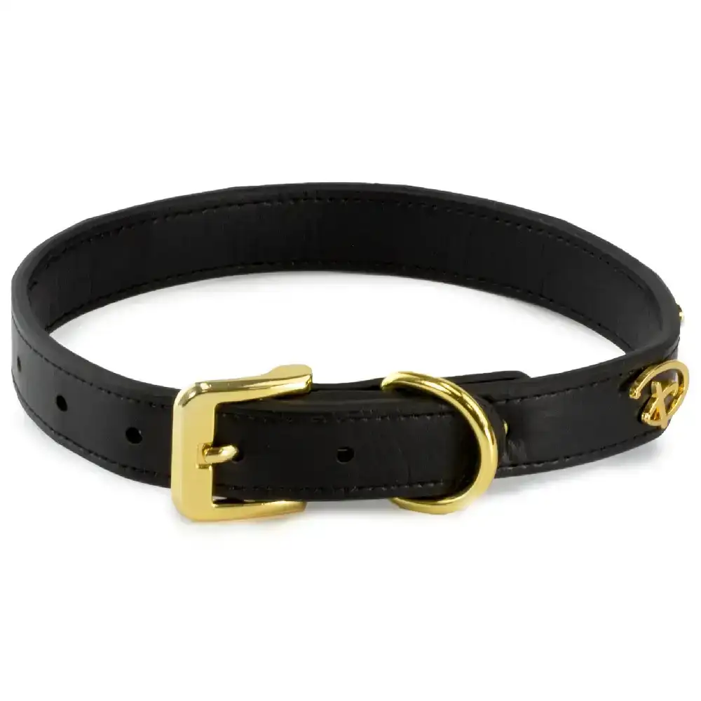 Image of Vegan Leather Dog Collar - Disney Black PU w Gold Cast Signature D Logo Embellishments