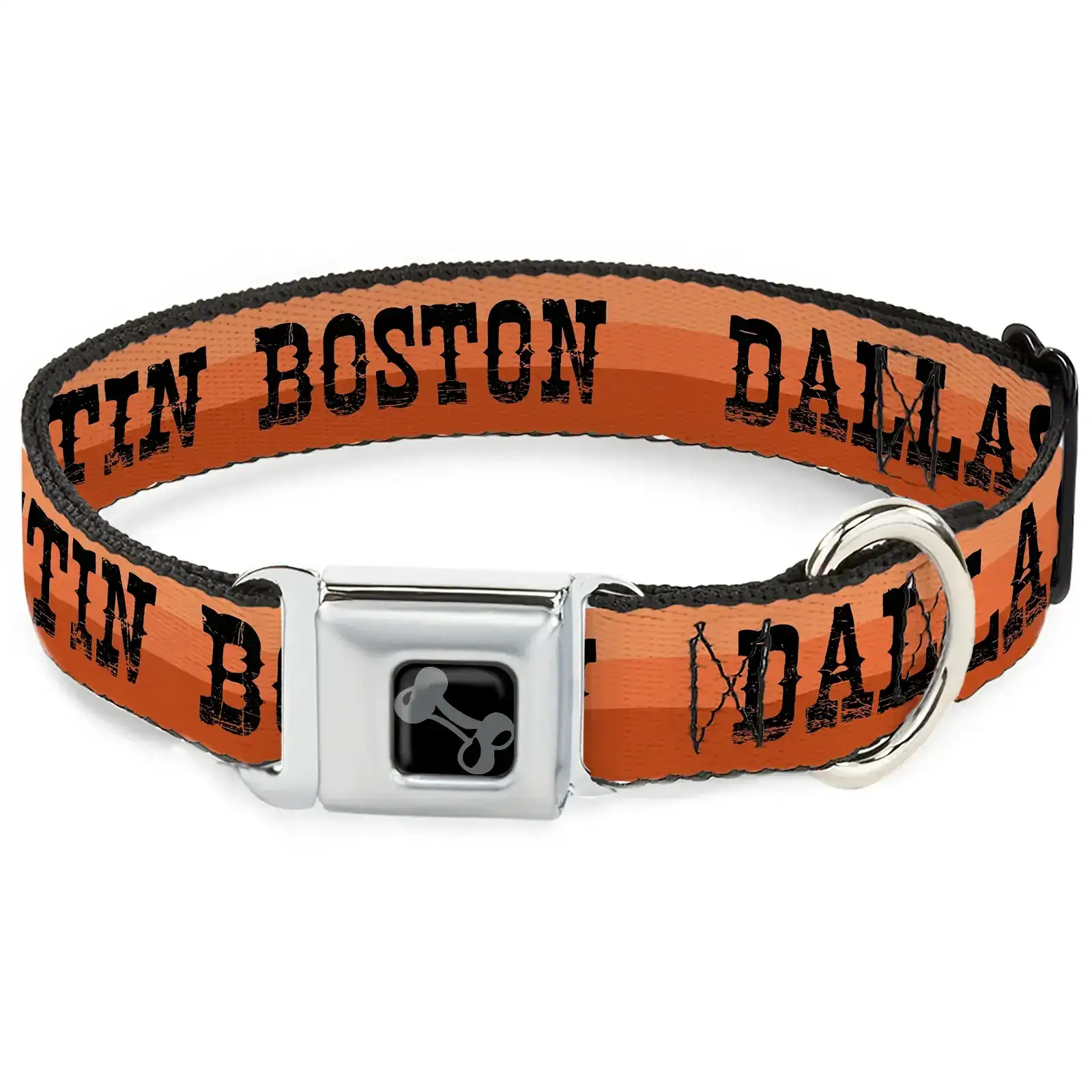 Image of Dog Bone Black/Silver Seatbelt Buckle Collar - Dallas-Raleigh-Tennessee-Austin-Boston Stripes Browns/Black
