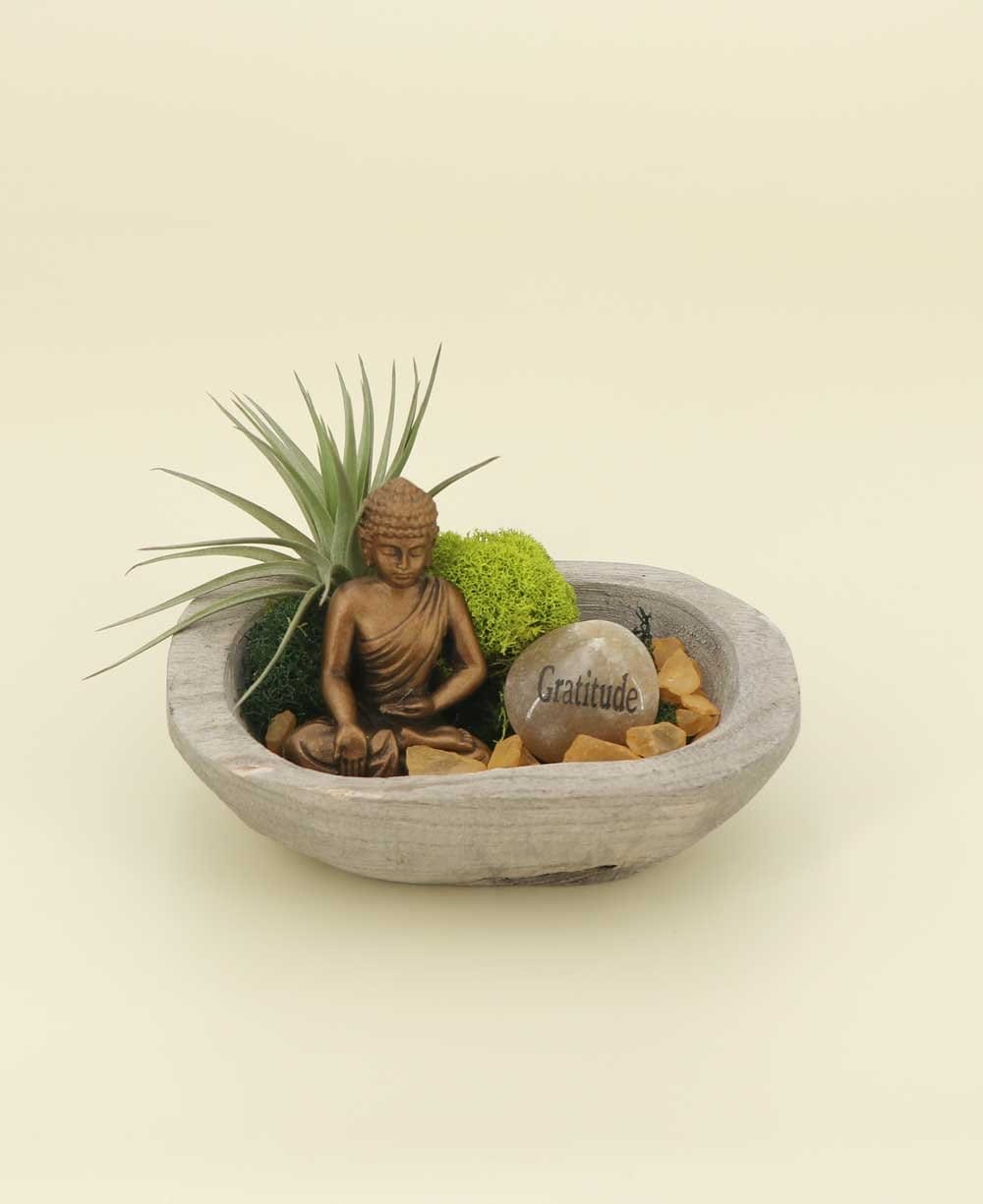 Image of Buddha Gratitude Small Zen Terrarium