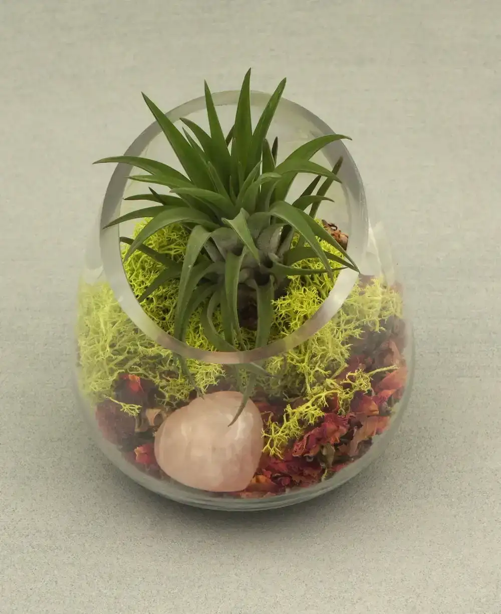 Image of Rose Quartz Healing Love Terrarium with Air Plant