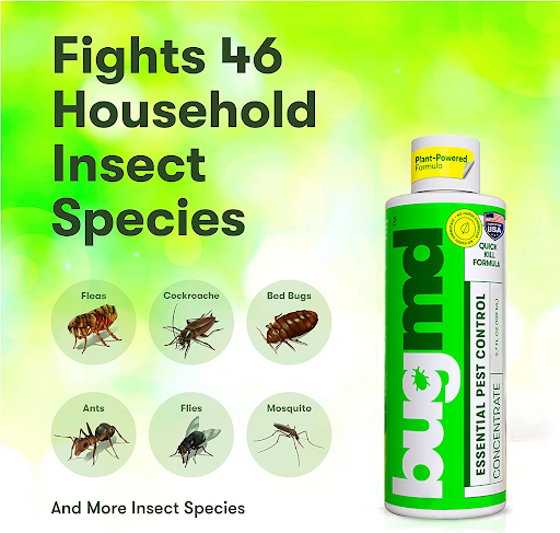 Fights 46 Household Insect Species