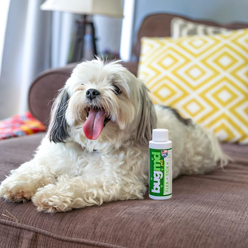 Flea + Tick Concentrate contains ZERO harsh chemicals.