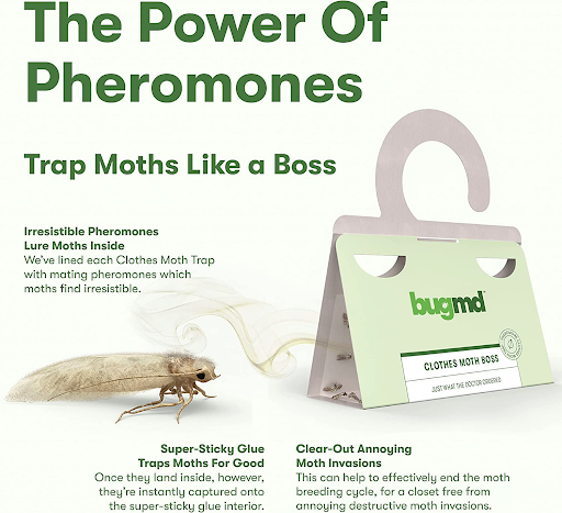 You can also use Clothes Moth Boss to protect the clothes in your dresser, as well as furniture and other fabrics.