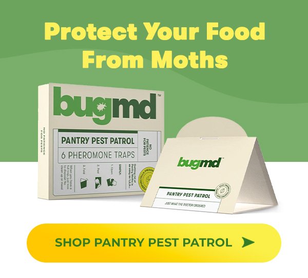 Protect Your Food From Moths | SHOP PANTRY PEST PATROL >