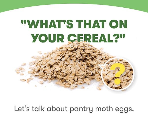 "WHAT'S THAT ON YOUR CEREAL? Let's talk about pantry moth eggs.