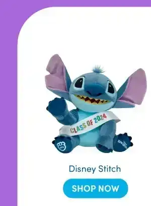 Disney Stitch