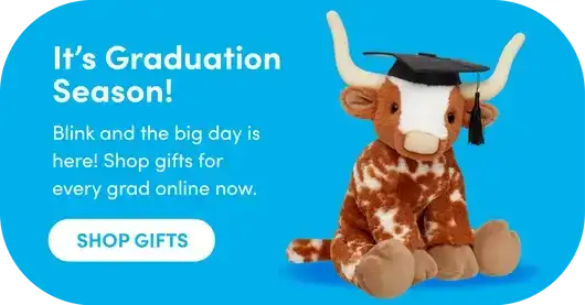 SB Graduation Cow