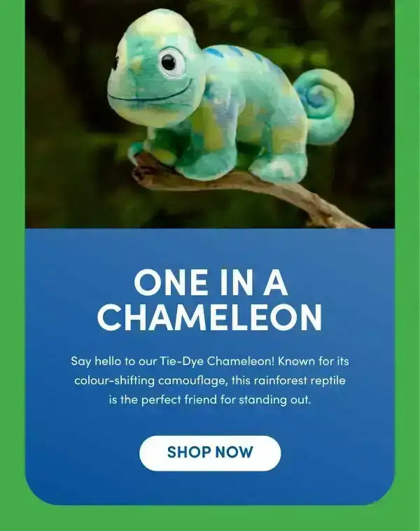 Primary Chameleon