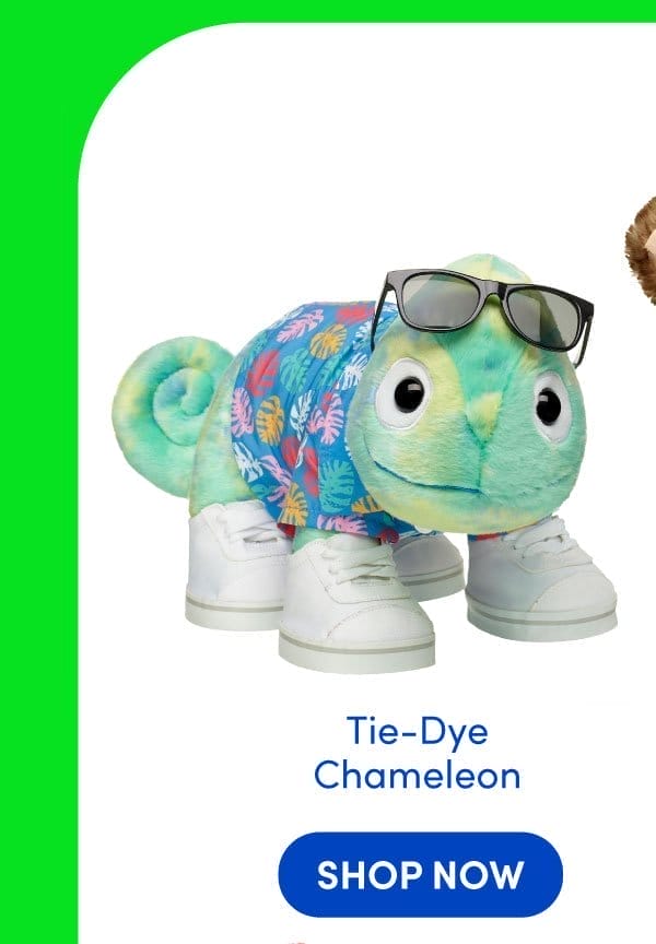 Tie-Dye Chameleon | SHOP NOW