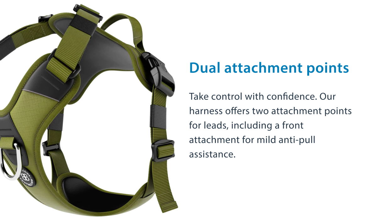 Dual Attachment Points