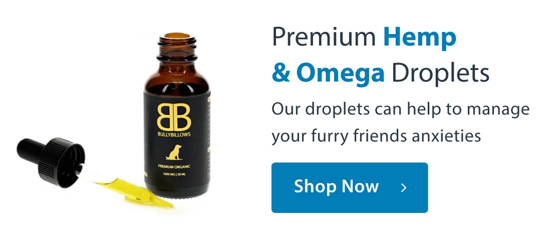 Premium Hemp & Omega Droplets