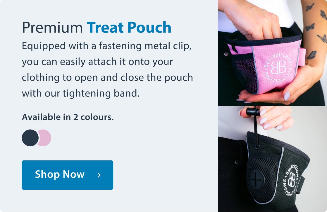 Premium Treat Pouch