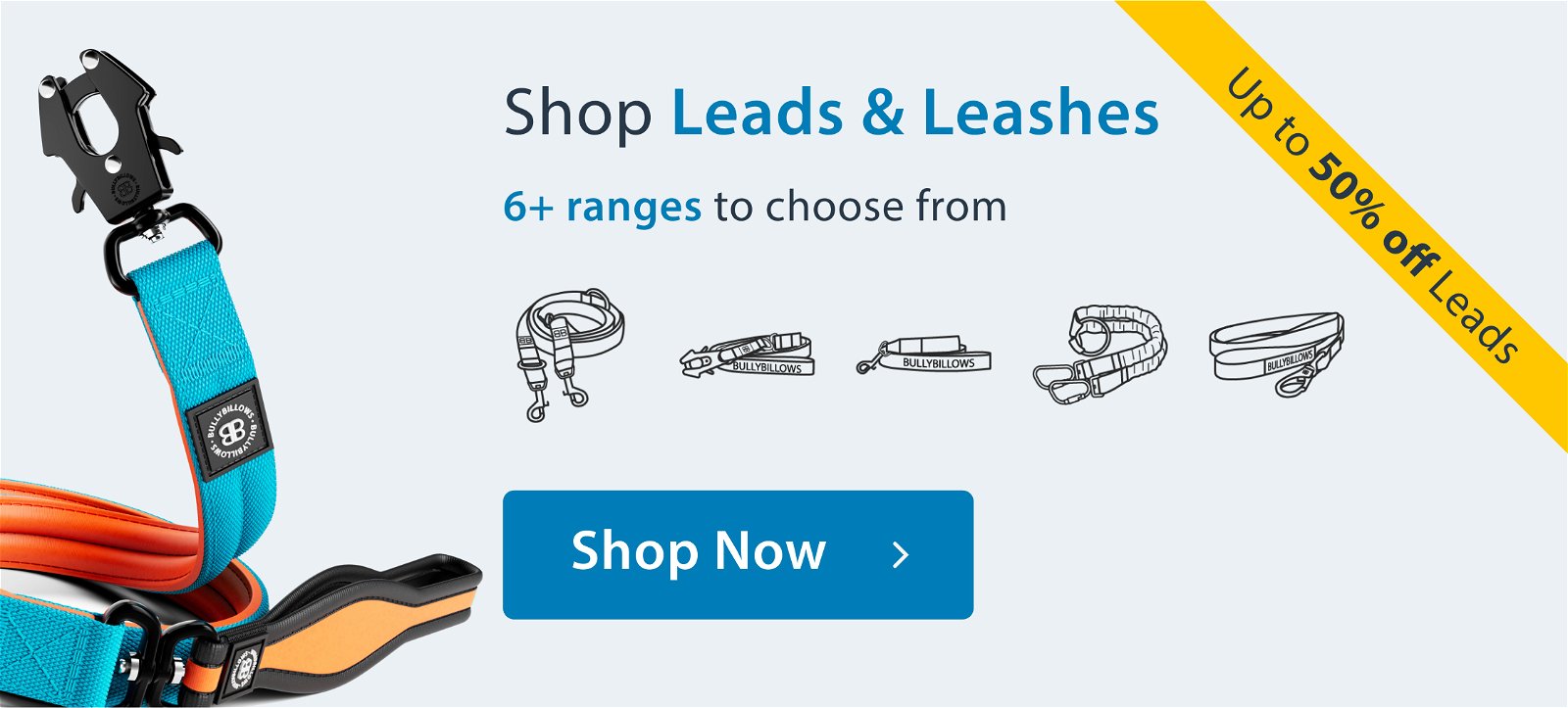 Shop Leads & Leashes