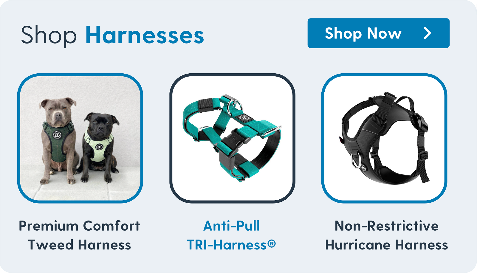 Shop Harnesses