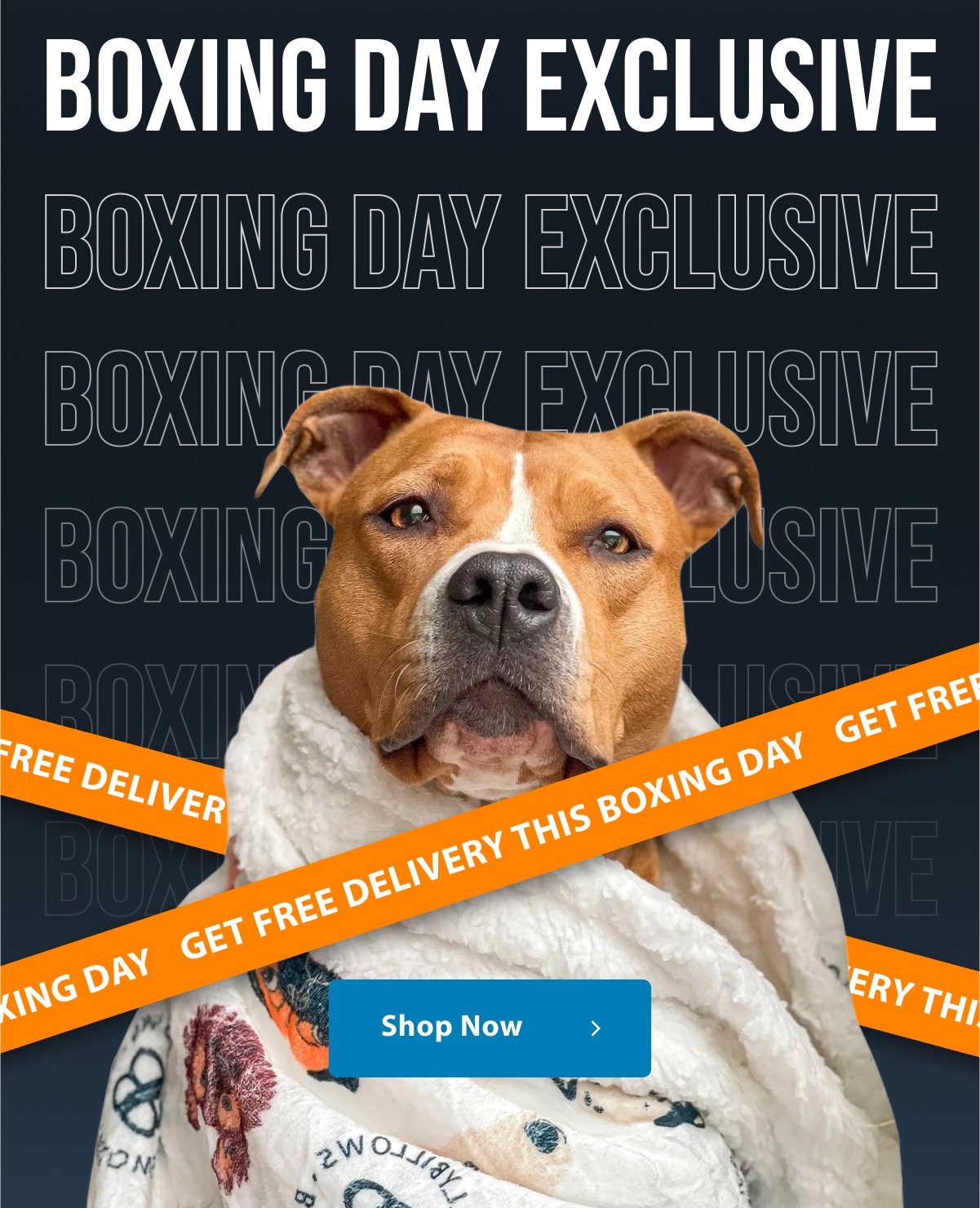 Boxing Day Exclusive