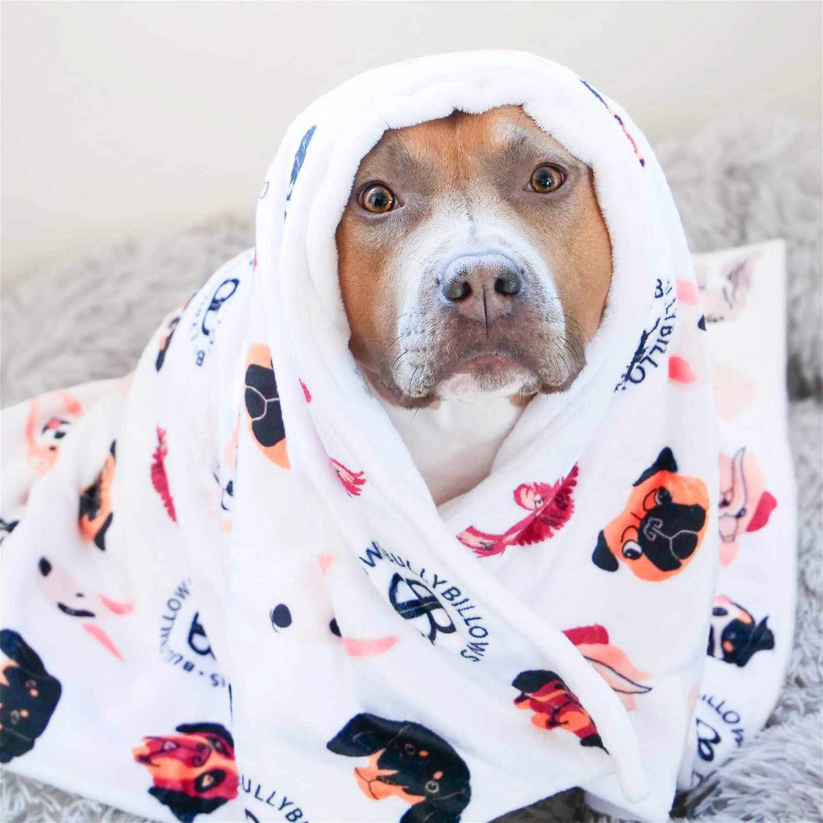 Image of Luxury BullyBillows Dog & Human Blanket