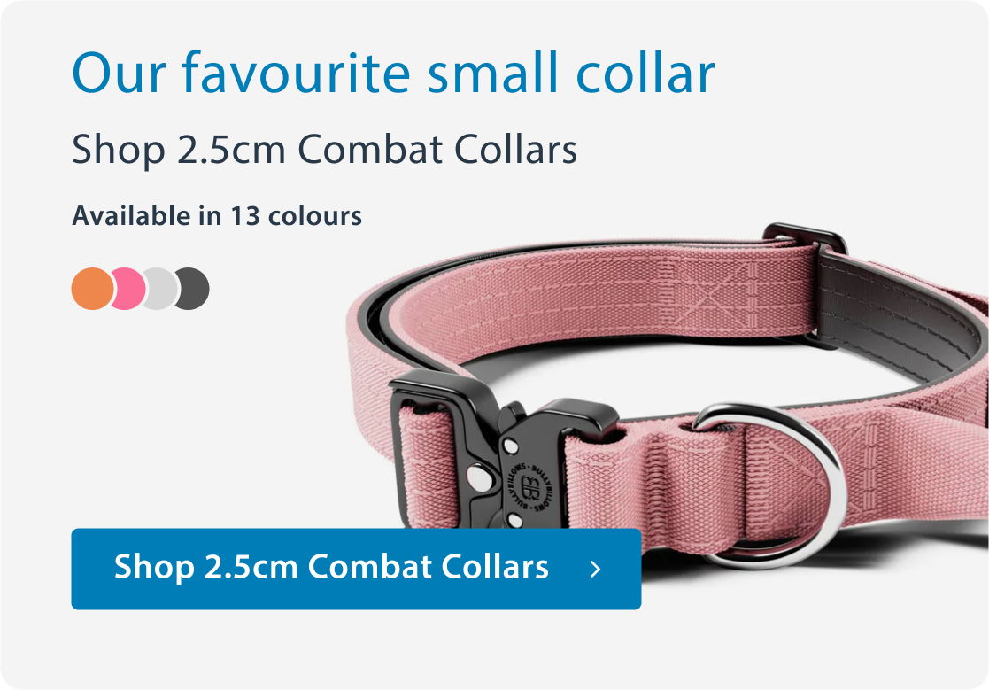 2.5cm Combat Collars