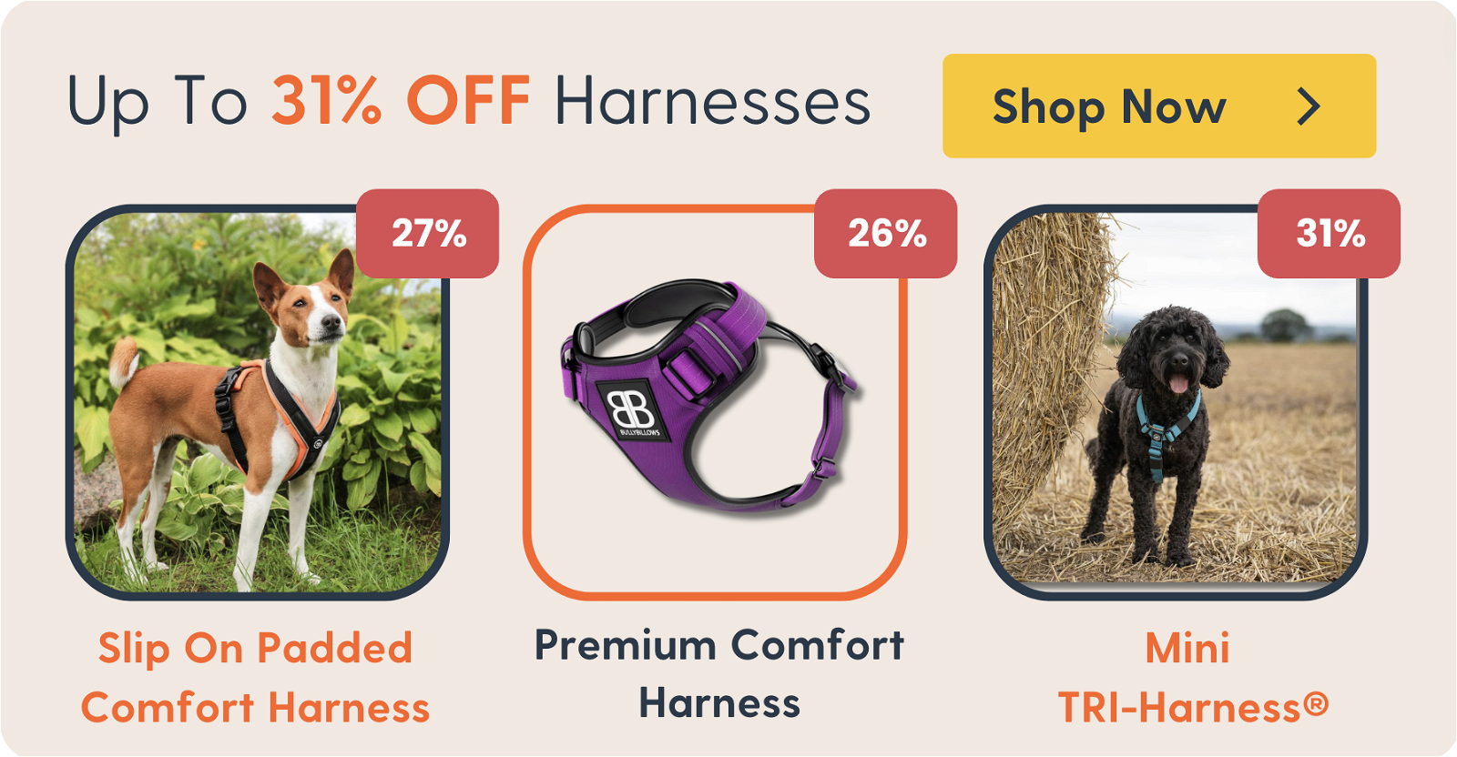 31% OFF Harnesses