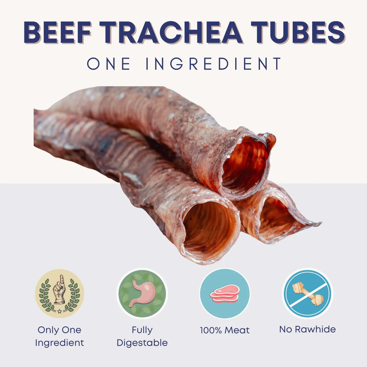 Image of Beef Trachea Tubes - 6 in