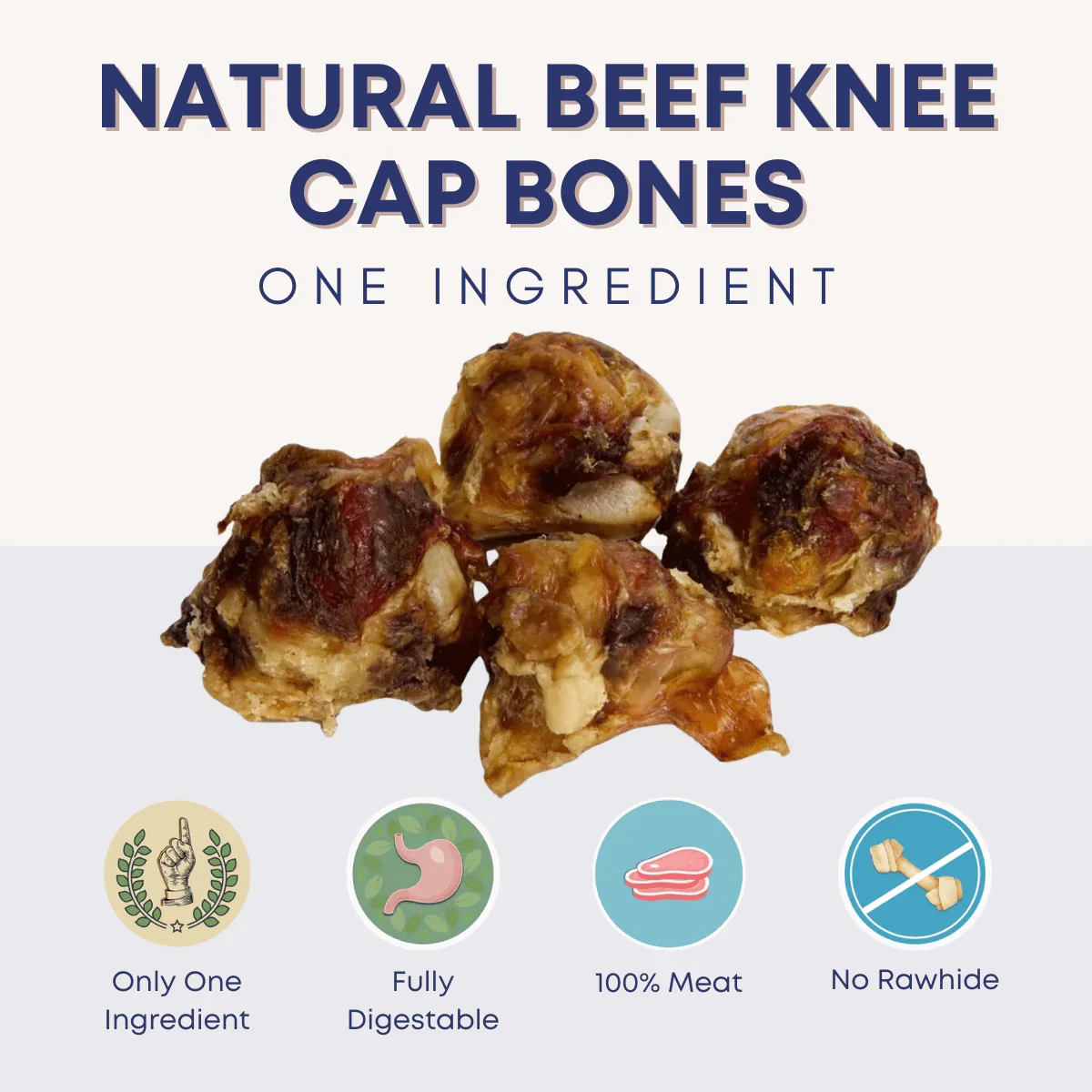 Image of Natural Beef Knee Cap Bones